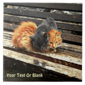 Catnap Cuties Tegeltje (Voorkant)