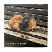 Catnap Cuties Tegeltje (Voorkant)