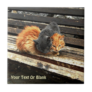 Catnap Cuties Tegeltje