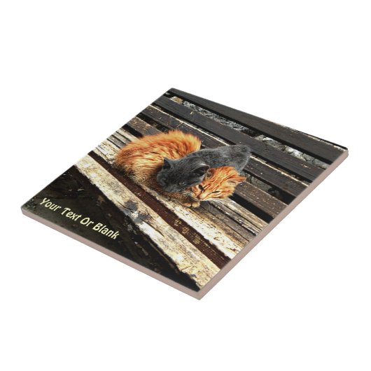 Catnap Cuties Tegeltje (Zijkant)