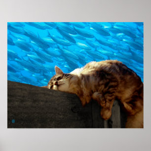 Catnap Gevist Poster