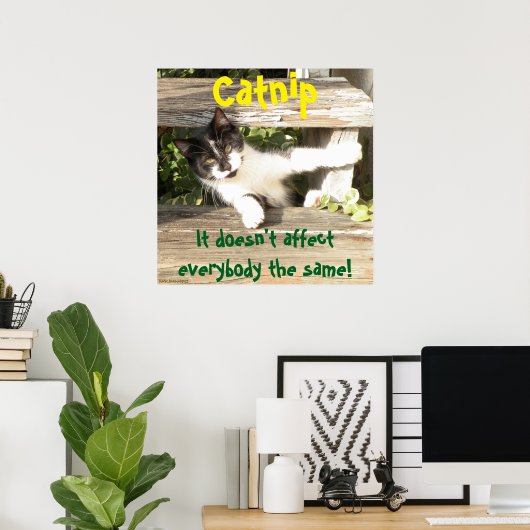 "Catnip", cats, funny, humor, cute, gift  Poster (Thuiskantoor)