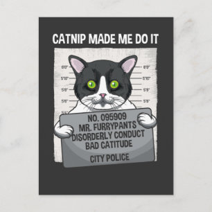 Catnip liet me het grappige kat van de politie doe briefkaart
