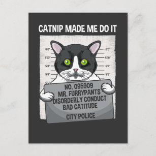 Catnip liet me het grappige kat van de politie doe briefkaart