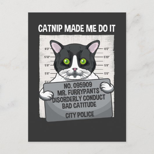 Catnip liet me het grappige kat van de politie doe briefkaart (Voorkant)