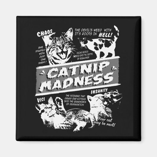 Catnip Madness Cute Kitten Funny Cat Pet Humor  Magneet (Voorkant)