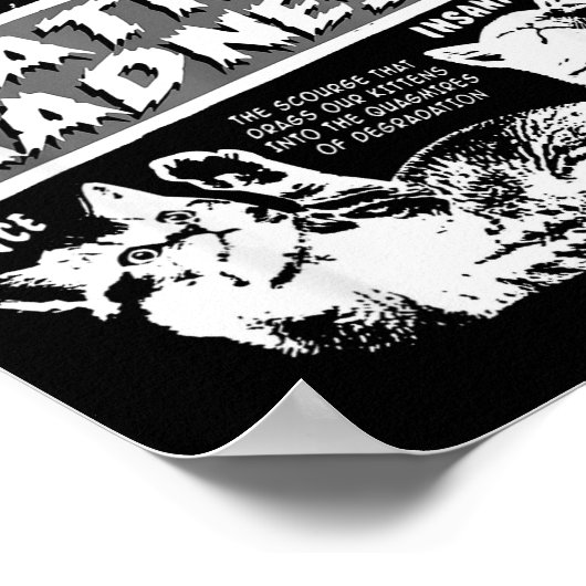 Catnip Madness Cute Kitten Funny Cat Pet Humor  Poster (Hoek)