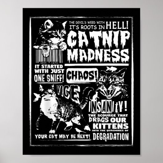 Catnip Madness Leuke Kitten Kat Lover Gift Voor Ka Poster (Voorkant)