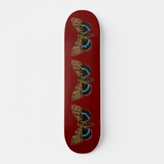 Catocala fraxini persoonlijk skateboard (Voorkant)