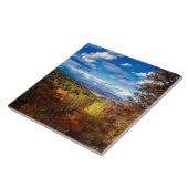 Catoctin-bergen, Maryland Tegeltje (Zijkant)