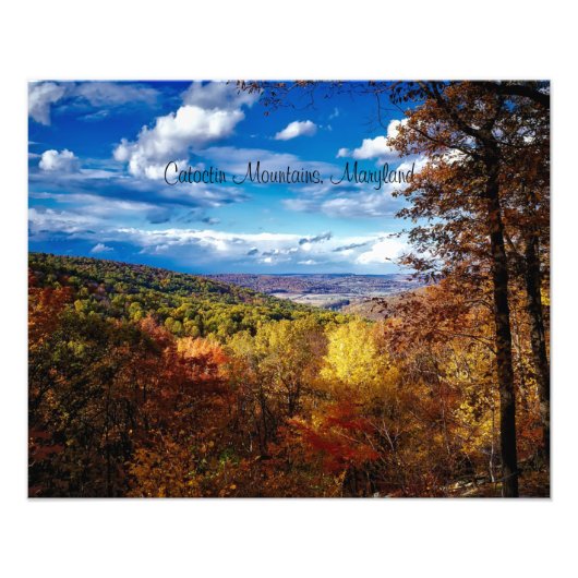 Catoctin Mountains, Maryland Foto Afdruk (Voorkant)
