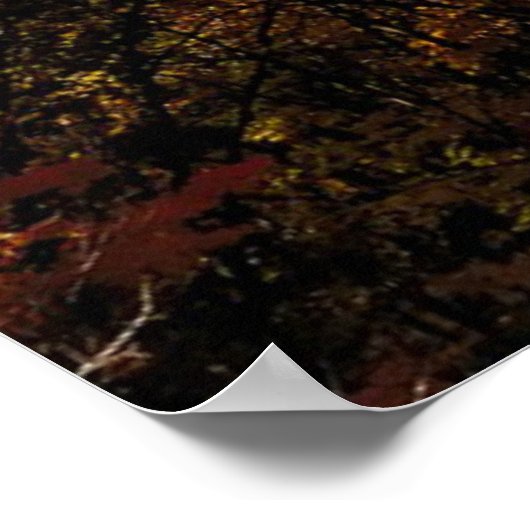 Catoctin Mountains, Maryland Poster (Hoek)