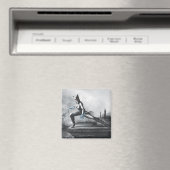 Catoman - Lightning Magneet (Insitu (Vaatwasser))