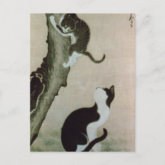 Cats, 17th century (ink on silk) briefkaart (Voorkant)