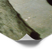 Cats, 17th century (ink on silk) poster (Hoek)