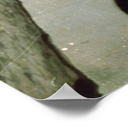 Cats, 17th century (ink on silk) poster (Hoek)