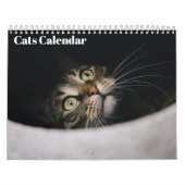 Cats 2026 Calendar Kalender (Hoes)