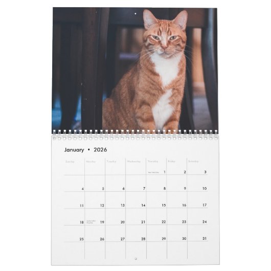Cats 2026 Calendar Kalender (Jan 2026)