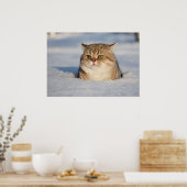 cats_and_snow7 poster (Keuken)