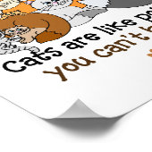 Cats are like potato chips poster (Hoek)