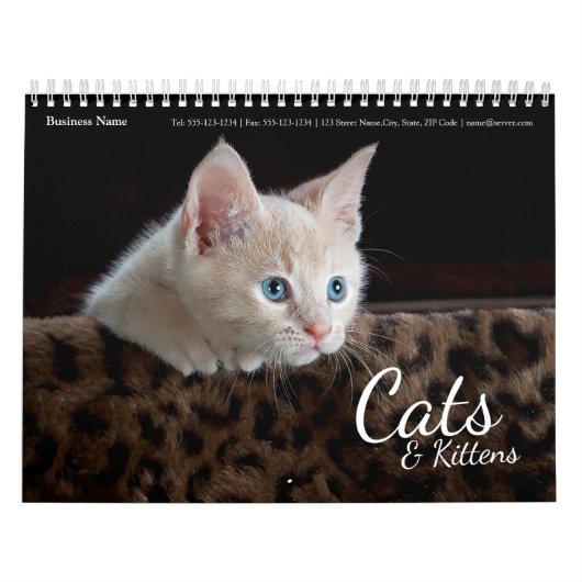 Cats Bedrijf Bedrijf Muurkalender 2024 Kalender (Hoes)