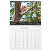 Cats Bedrijf Bedrijf Muurkalender 2024 Kalender (Jan 2026)