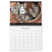 Cats Bedrijf Bedrijf Muurkalender 2024 Kalender (Mar 2026)