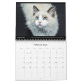 Cats Bedrijf Bedrijf Muurkalender 2024 Kalender (Feb 2026)