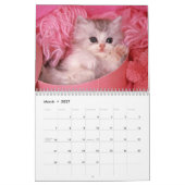 Cats Calendar Kalender (Mar 2027)
