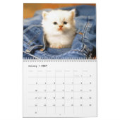 Cats Calendar Kalender (Jan 2027)