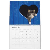 Cats Calendar Kalender (Feb 2027)