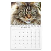 Cats Calendar Kalender (Feb 2027)
