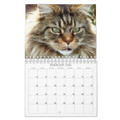 Cats Calendar Kalender (Feb 2026)