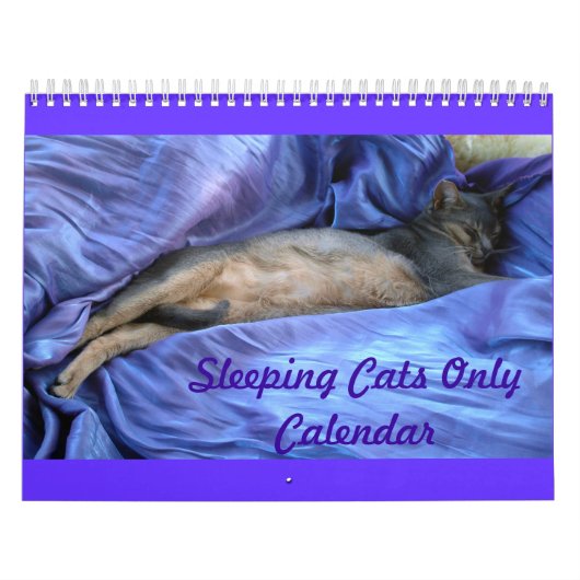 Cats Calendar Kalender (Hoes)