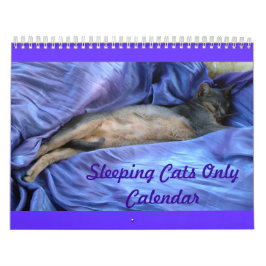Cats Calendar Kalender