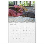 Cats Calendar Kalender (Mar 2027)
