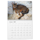 Cats Calendar Kalender (Jan 2027)