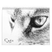 Cats Calendar Kalender (Hoes)
