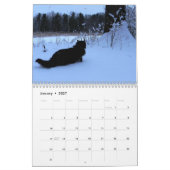 Cats Calendar Kalender (Jan 2027)