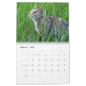 Cats Calendar Kalender (Feb 2027)