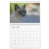 Cats Calendar Kalender (Mar 2026)