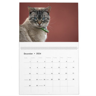 Cats Calendar Kalender