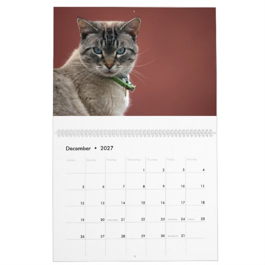 Cats Calendar Kalender (Dec 2027)