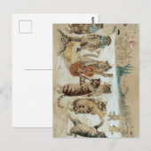 Cats Carol Singing by Louis Wain Briefkaart (Voorkant / Achterkant)