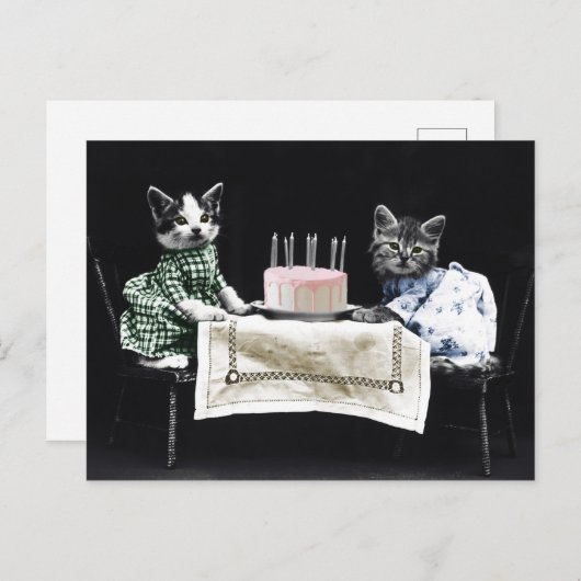 Cats celebrating a birthday with cake and candles briefkaart (Voorkant / Achterkant)