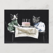 Cats celebrating a birthday with cake and candles briefkaart (Voorkant)