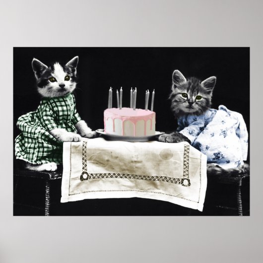Cats celebrating a birthday with cake and candles poster (Voorkant)