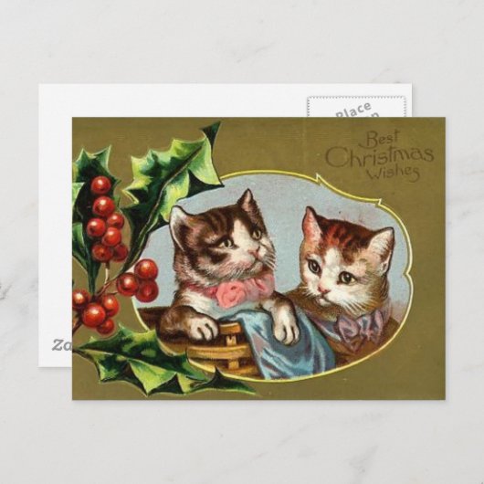 Cats Christmas Briefkaart (Voorkant / Achterkant)