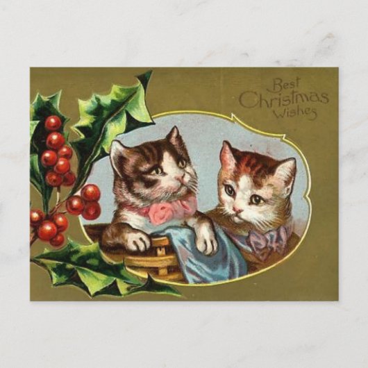  Cats Christmas Briefkaart (Voorkant)