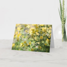 Cats-Claw Hartelijk dank Bedankkaart